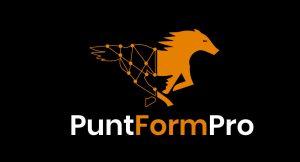 Punt Form Pro logo